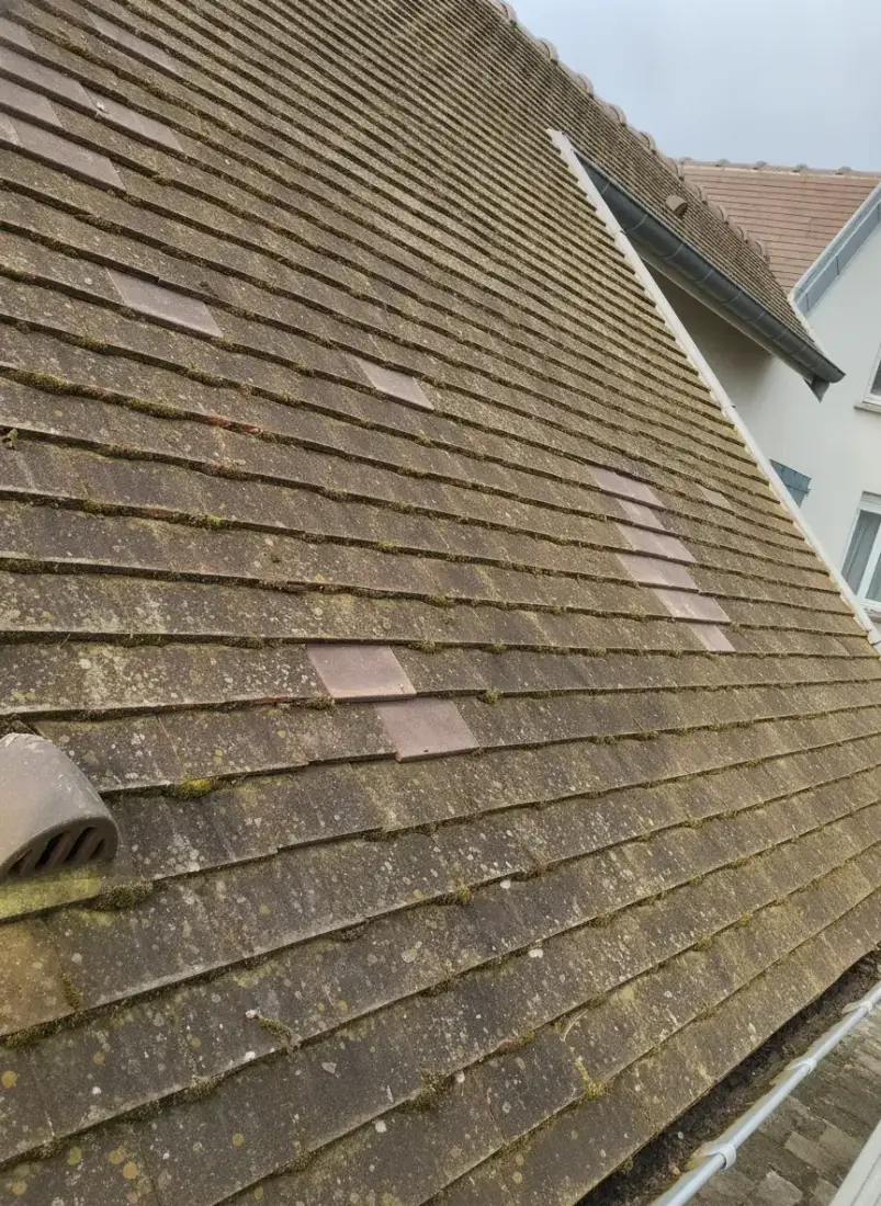 Traitement anti-mousse en Loire-Atlantique